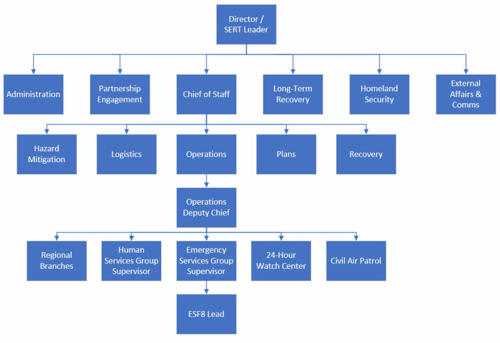 Organizational chart of the SERT.